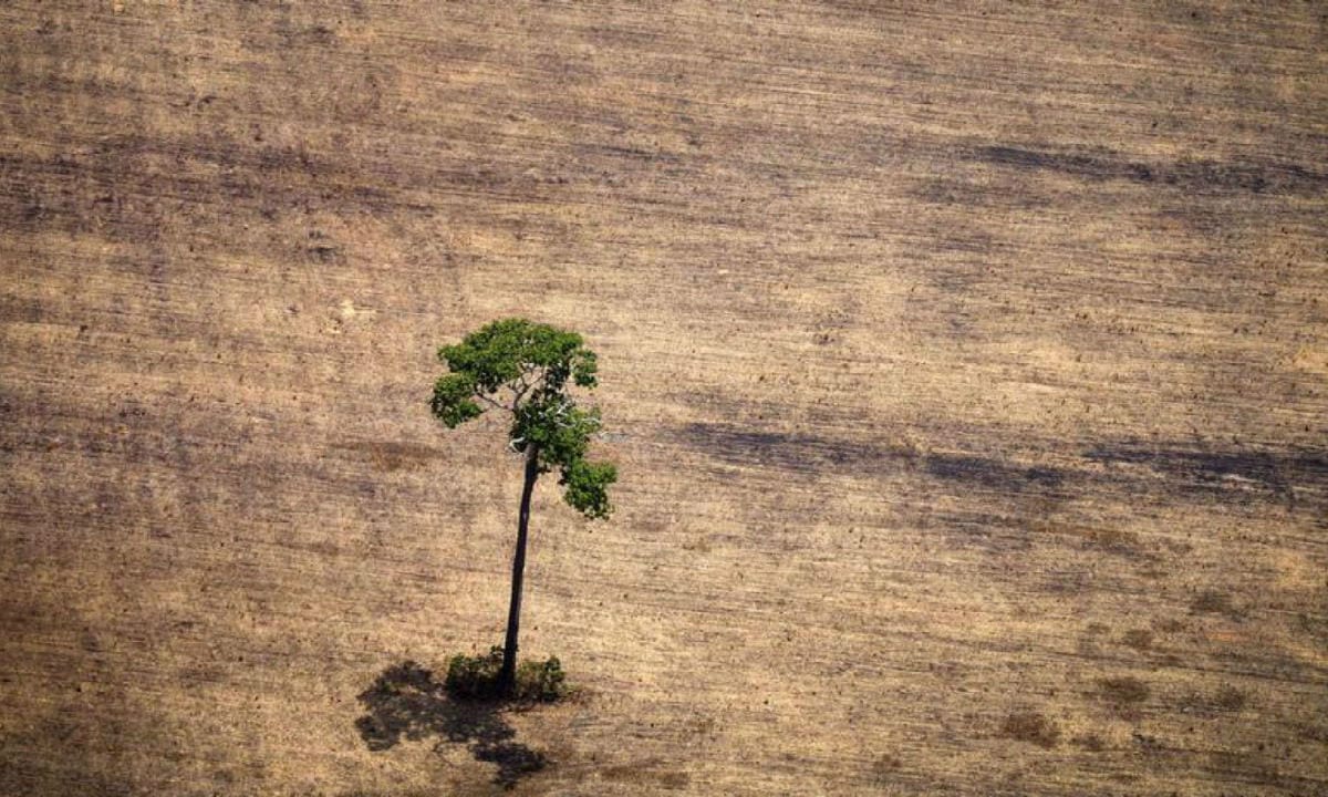 Debate climático toma rumo indecente. E o Brasil não colabora
