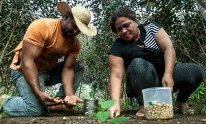 Reforma agrária é “uma dívida” que o Brasil tem com os camponeses, diz economista