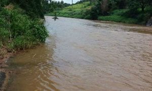 Brasil está deixando rios morrerem, diz estudo