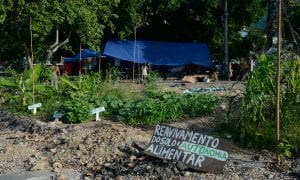 Banco Mundial tem em Bolsonaro um aliado no ataque às terras indígenas