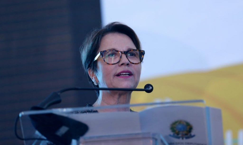 Carta aberta à excelentíssima ministra Tereza Cristina