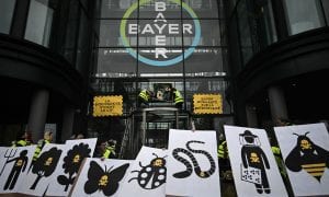Bayer pede desculpas por investigações ilegais da Monsanto na França