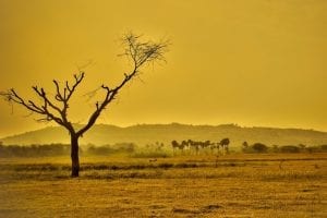 Países ricos se beneficiaram da mudança climática nos últimos 60 anos