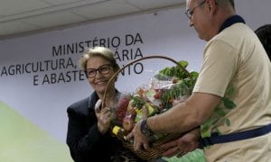 Ministra da Agricultura transforma o Brasil no paraíso dos agrotóxicos