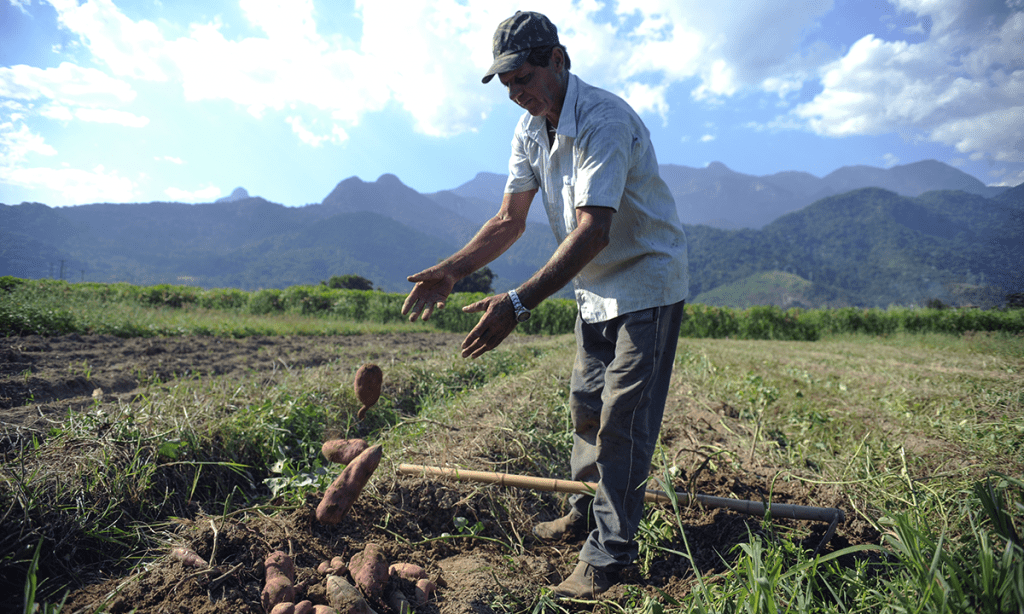A morte programada do Trabalhador Rural por Bolsonaro: ponto a ponto