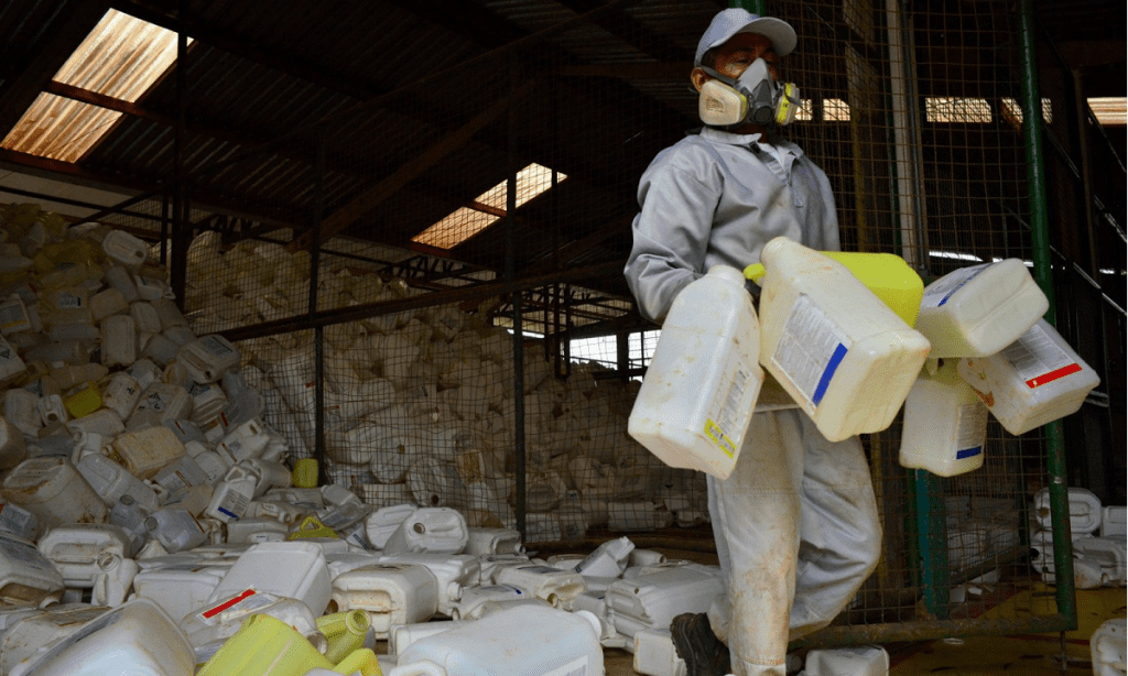 Agrotóxicos podem ser a causa de casos de câncer e malformação?
