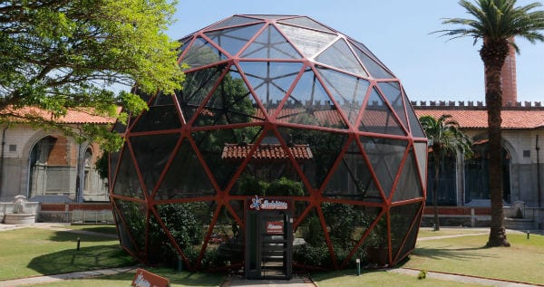 Museu Catavento ganha borboletário