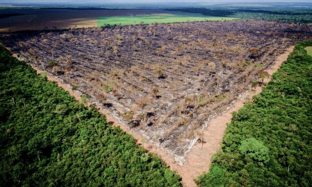 Entenda os ataques mais recentes do governo ao meio ambiente