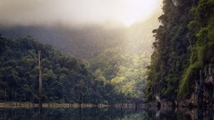 Onde está o Partido Verde no Brasil?