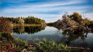 Anos 90: A década da sociedade civil e do primeiro boom ambientalista