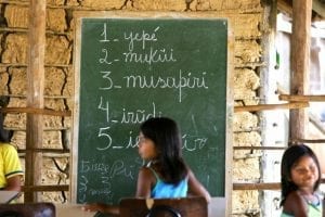 Como salvar uma língua em extinção?