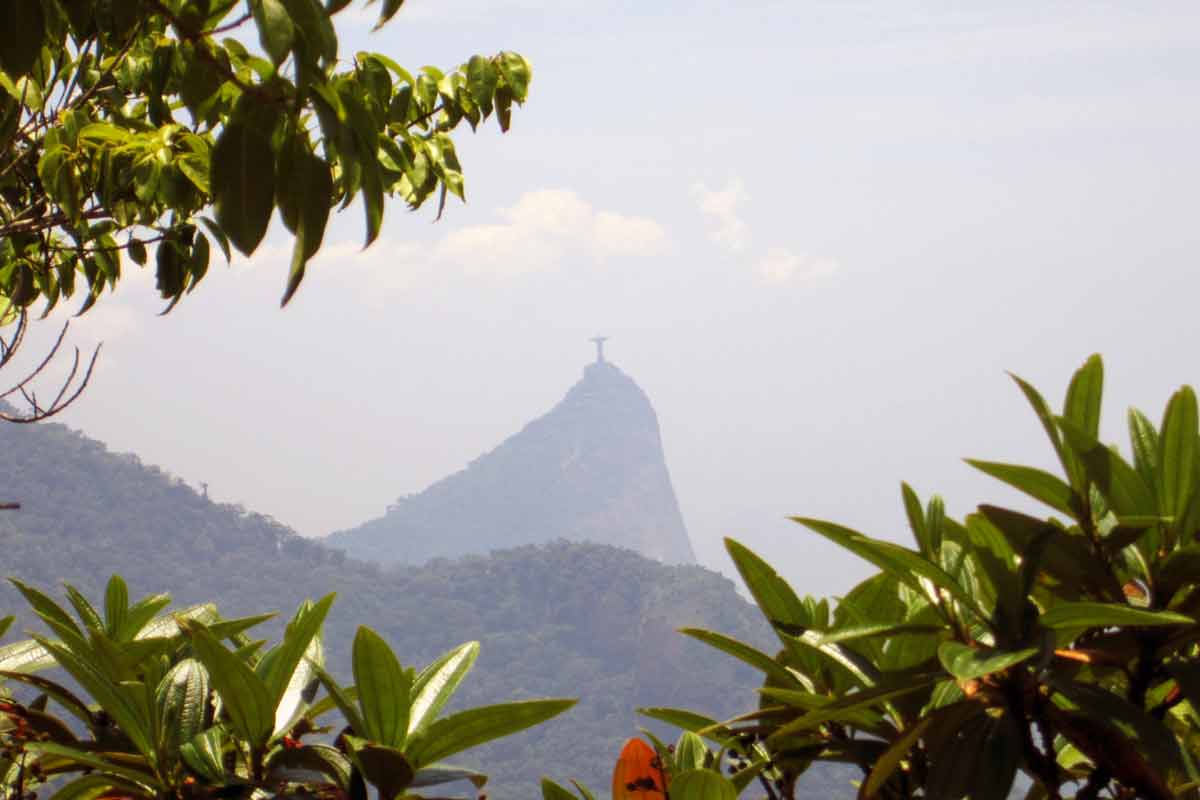 |Poucos sabem que o cartão-postal do Rio fica em uma área de conservação meio ambiente wikiparque ecologia preservação|Plataforma internautas áreas de conservação natureza