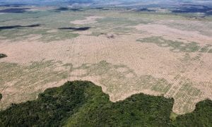 O desmatamento explode. E a moratória da soja queima com a Amazônia