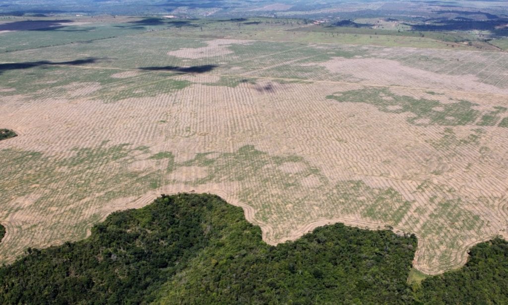 Movimento para salvar a Amazônia reúne 8,3 milhões de assinaturas
