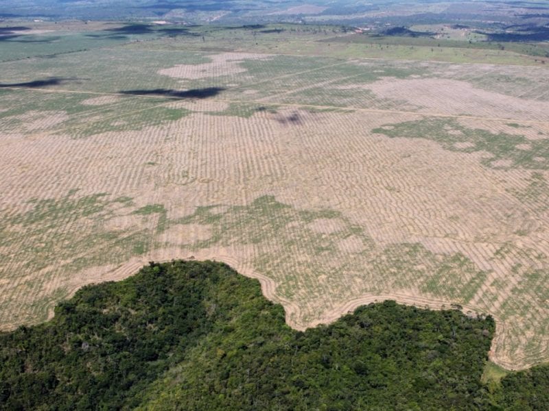 CartaCapital - Jornalismo crítico e transparente. Notícias 