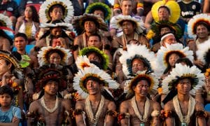 Os indígenas alertaram: o governo se prepara para dizimar a natureza