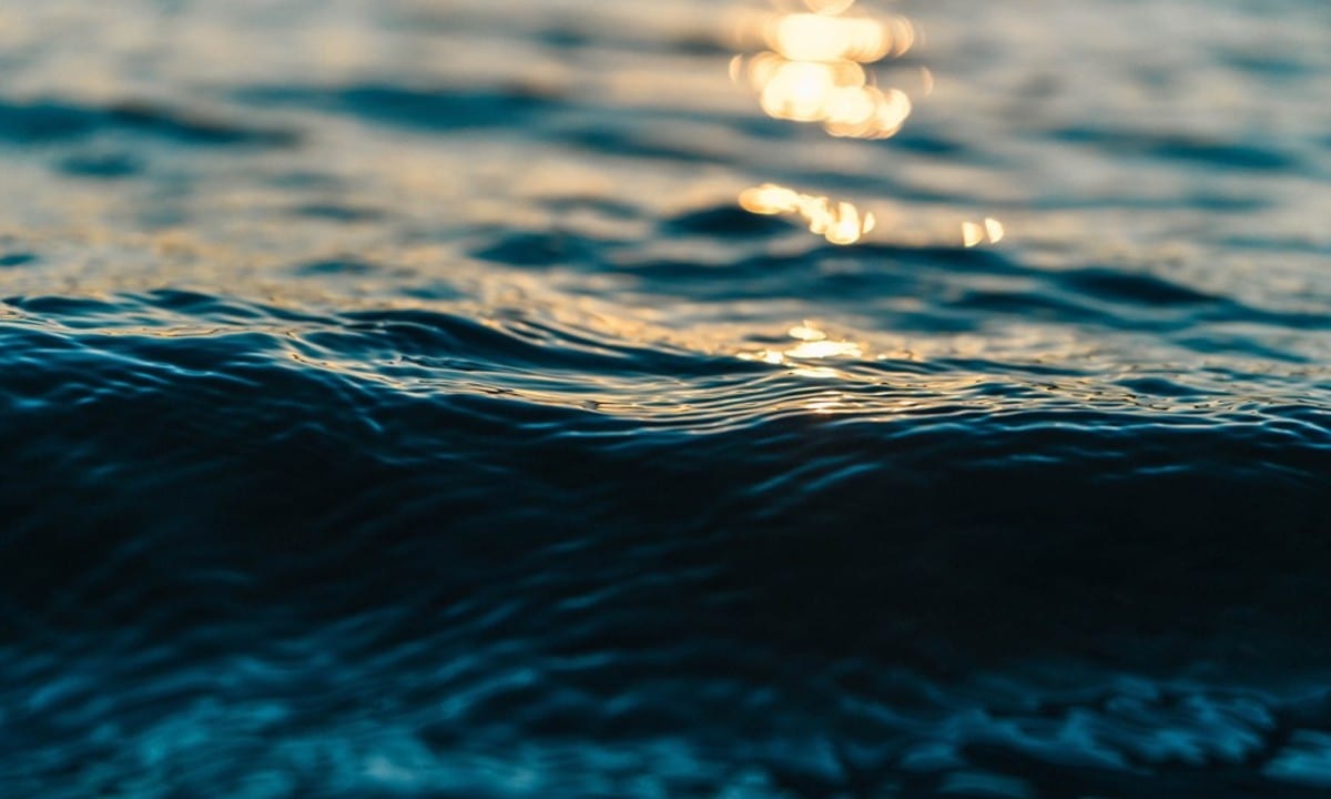 Os microplásticos têxteis no ambiente marinho