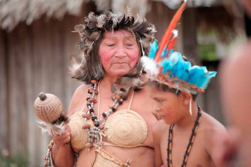 Os sons da floresta
amazônica