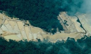 Amazônia: garimpos jogam ‘uma Brumadinho’ a cada 20 meses no Tapajós