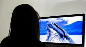 Por que os adolescentes se expõem aos riscos do Baleia Azul?
