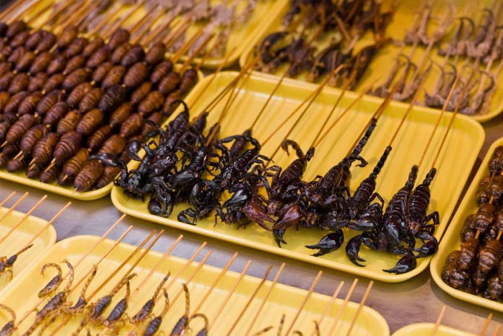 Churrasco de insetos