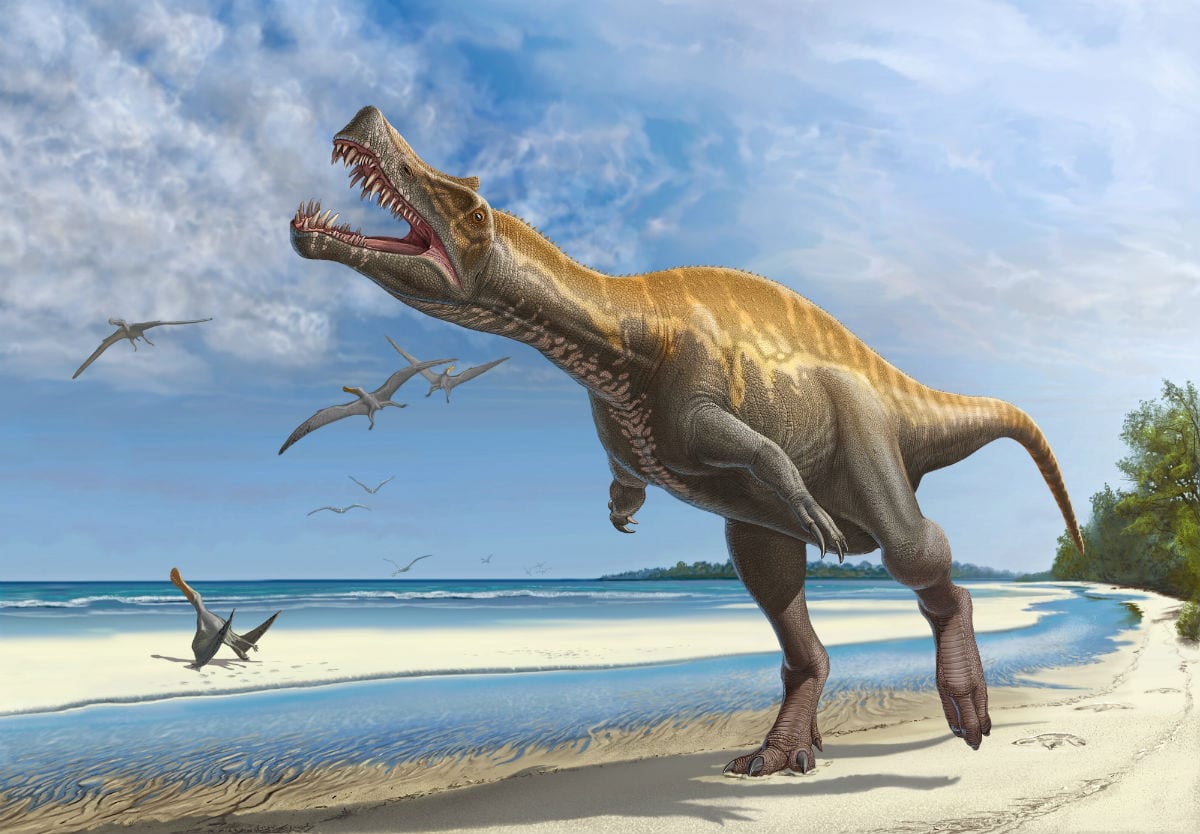Dinossauro Irritator viveu no atual Ceará há 110 milhões de anos