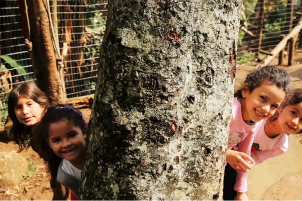 Série retrata experiência de 13 escolas brasileiras que inovaram na educação