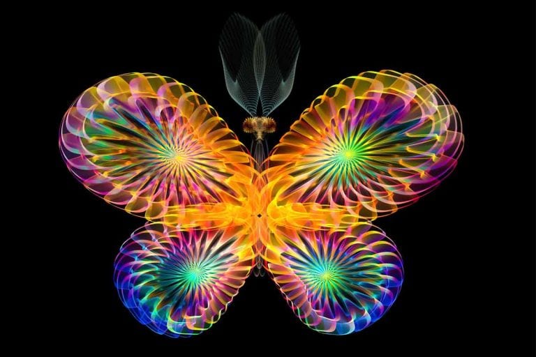 Área de figuras não planas|figura plana irregular em forma de borboleta