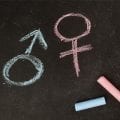 Discurso político e assédio a professores enfraquecem educação sobre gênero e sexualidade, diz HRW