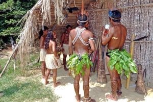Entenda o conflito indígena no Brasil