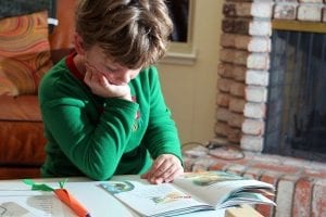 Literatura infantil: o que vem por aí em 2016