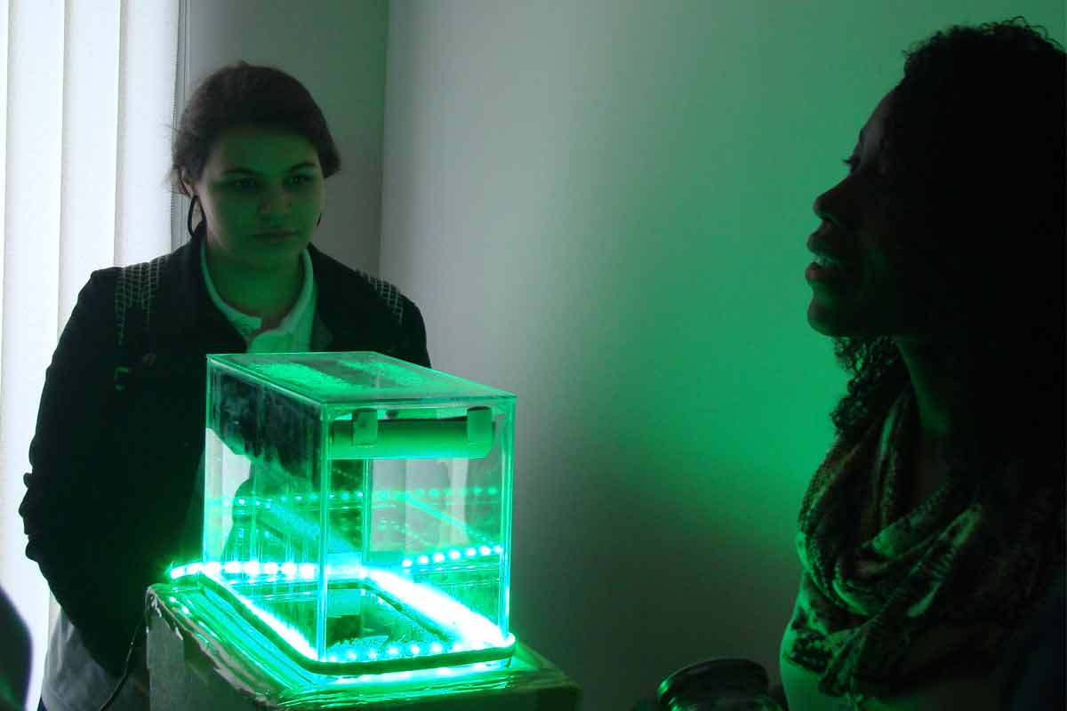 Evento transforma alunos em físicos por dois dias