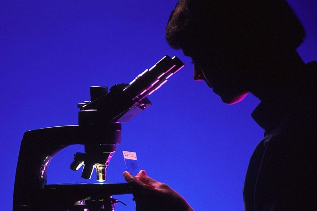 Prêmio estimula participação feminina na Ciência