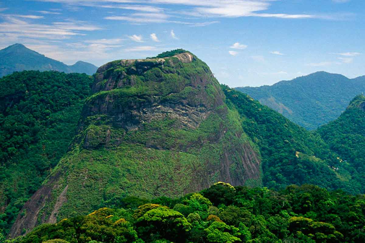O meio ambiente  a salvo?