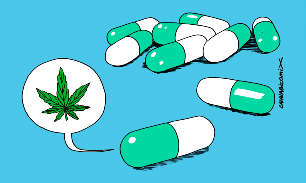 Maconha é remédio, alívio e um direito do paciente