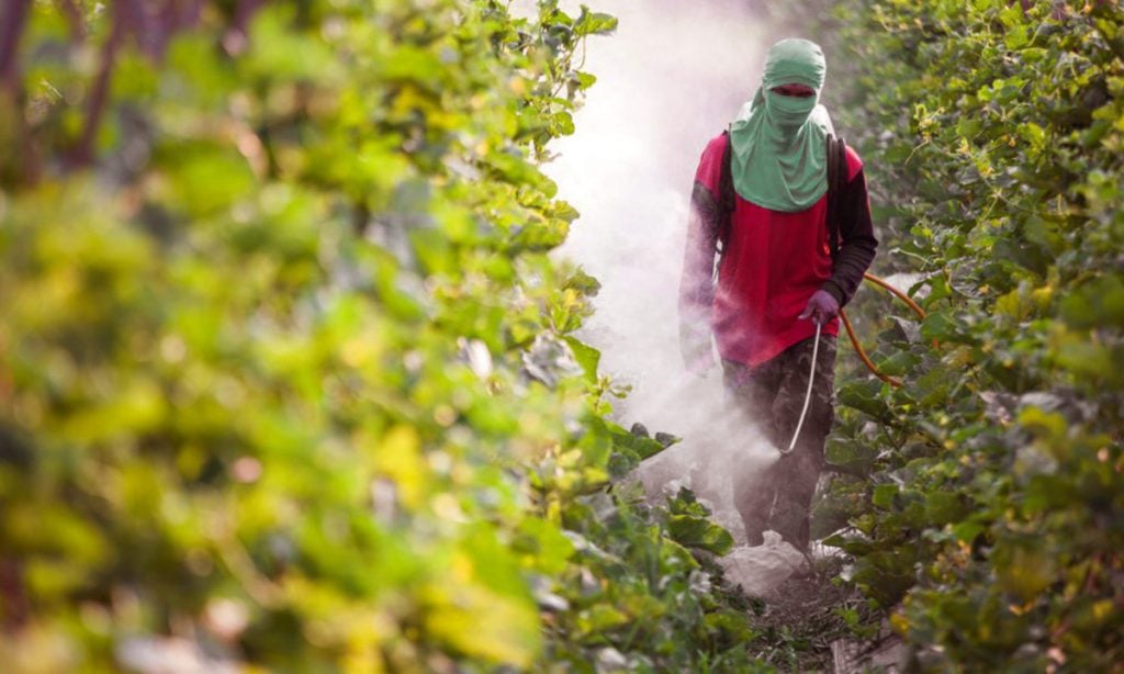 Governo analisa 33 novos pedidos de registro de agrotóxicos no País