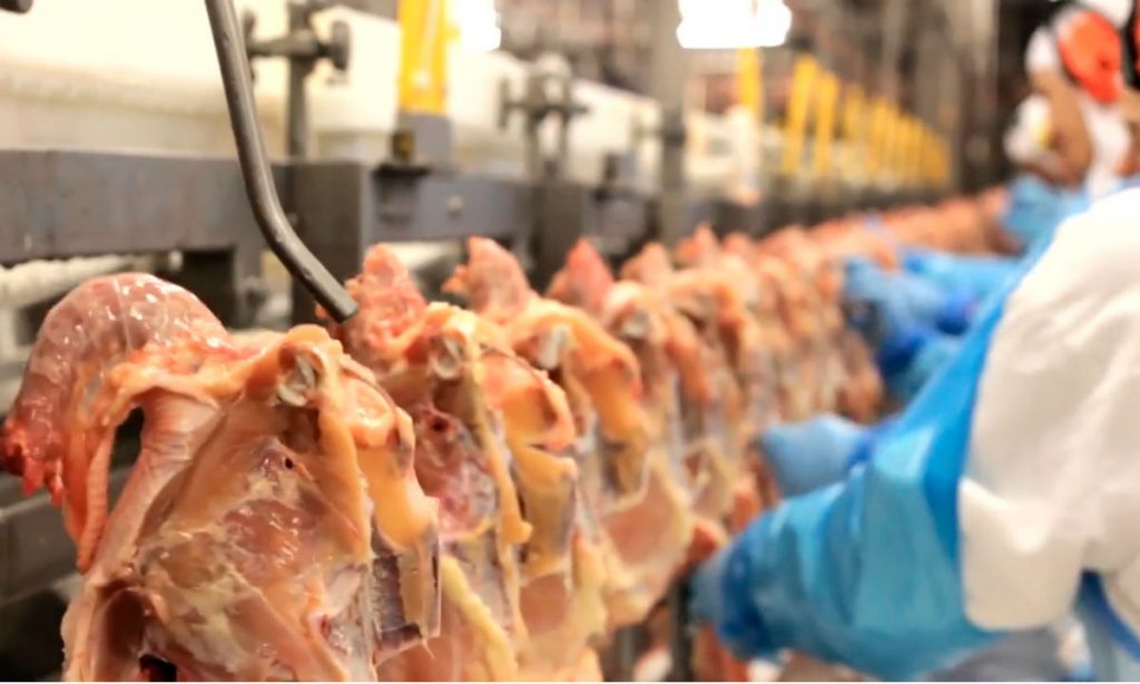Ruralistas culpam Bolsonaro e aliados por veto da China à carne brasileira