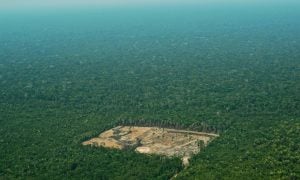 Desmatamento da Amazônia bate recorde para janeiro