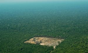 Desmatamento na Amazônia registra primeira grande queda sob governo Lula