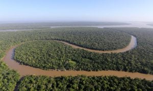 Por que a Amazônia é vital para o mundo?