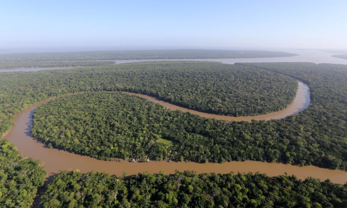 Floresta Amazônica (Foto: Sidney Oliveira/Agência Pará) 