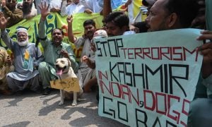 O povo da Caxemira clama pela solidariedade internacional