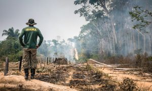 Governo Lula convida para negociação servidores ambientais paralisados