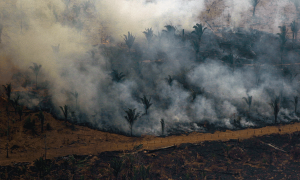 Bolsonaro e o projeto de destruição da Amazônia