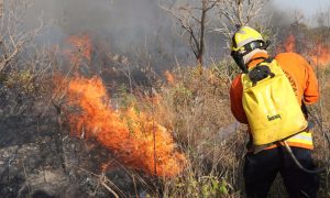 Enquanto a Amazônia arde, governo e mídia ignoram discussão sobre a política climática