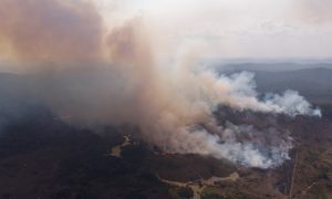 Queimadas quadruplicam em assentamento mais incendiado do Pará