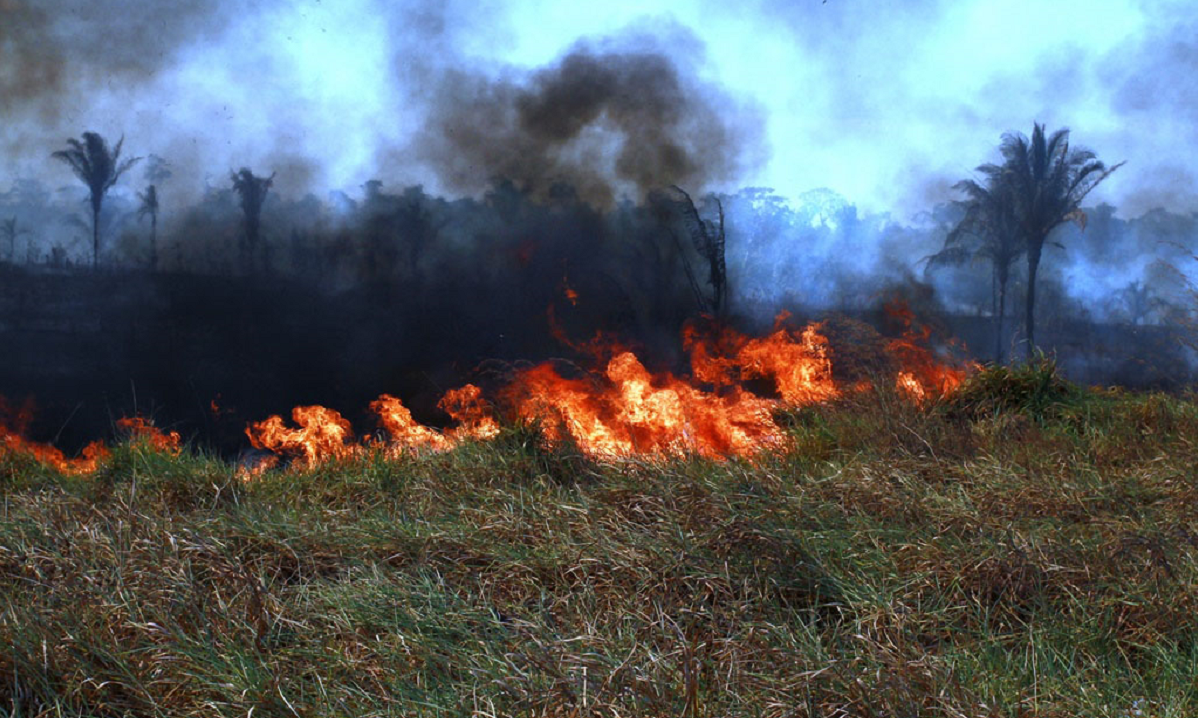 Países sul-americanos oferecem ajuda ao Brasil para combater incêndios