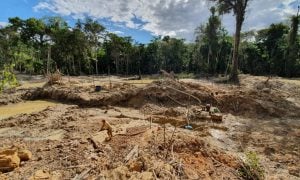 Degradação da Amazônia já chegou a ponto irrecuperável, diz estudo