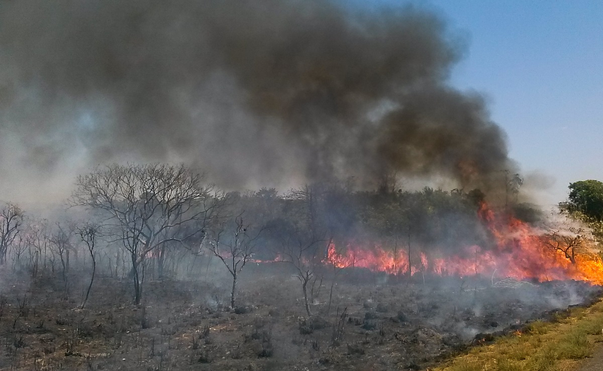 Amazônia em chamas. José Cruz/Agência Brasil 