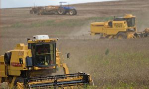 Mudança climática ameaça produção mundial de alimentos